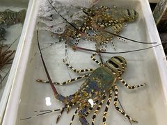 -拉威海鲜市场
