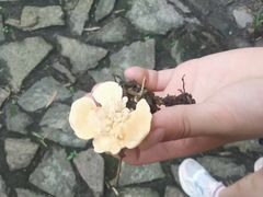 -黄公望隐居地