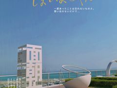 -杨梅坑