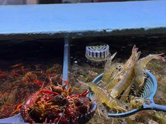 -聚盛源蒸汽海鲜火锅烤肉自助(巨川金海岸购物广场店)