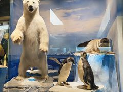 -国家自然博物馆