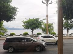 -野菌皇海景野生菌火锅(滨海大道店)