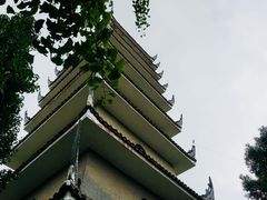 -生宇山珍野生菌汤锅•始于1999(双流古塔店)