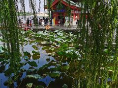 -济南大明湖景区