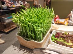 -海底捞火锅(新华联梦想城店)