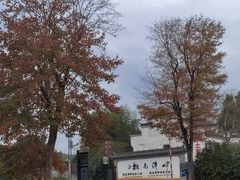 -黄牛肉馆·皖南土菜