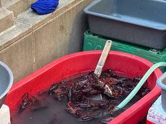 -小田油焖小龙虾(双井店)