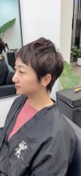 -蚂蚁造型俱乐部