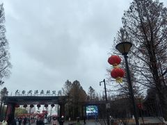 -黄海国家森林公园