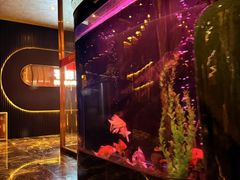 -华夏良子·足道·SPA·艾灸(苏州桥店)