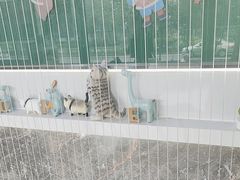 -pd派德宠物中心医院24H急重症·眼科中心·血液透析中心(嵩山北路店)