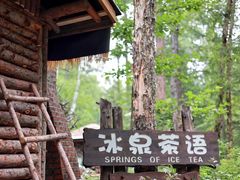 -峡谷浮石林景区