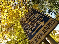 景点-三里屯东五街银杏大道