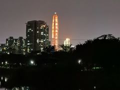 -福田红树林生态公园