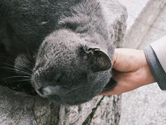 -长春观