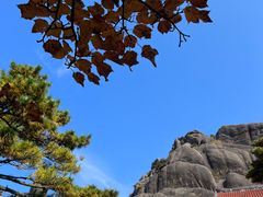 -黄山风景区
