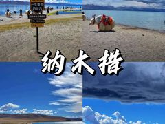 -布达拉宫