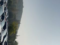 -佘山国家森林公园-1号地面停车场