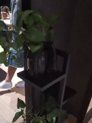 -香秀空间科技抗衰·美容中心