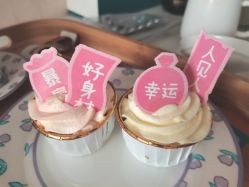 -致友月子会所(麓湖店)