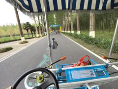 -黄海国家森林公园