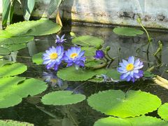 -国家植物园南园