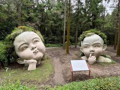 -东平国家森林公园