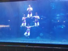 -蓬莱欧乐堡海洋极地世界