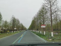 -黄海国家森林公园