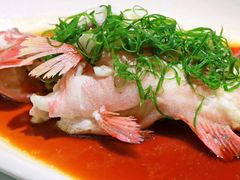 广式蒸东星斑-囍上海鲜火锅酒家(兴宁路店)