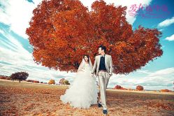 -施华洛婚纱摄影会所(范阳中路店)