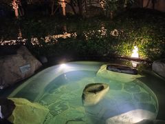 -溧阳天目湖天沐温泉