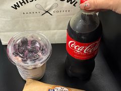 -达拉斯 沃斯堡国际机场