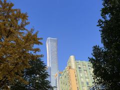 -叁拾壹克饺子·东北菜(国贸店)