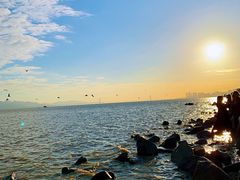 -深圳湾公园(南山区)