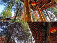 -兴教寺