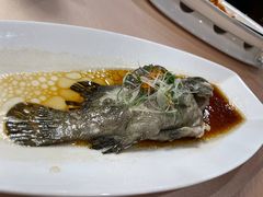 -新龙船黄浦江餐饮游船官方自营店