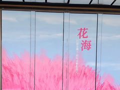 -金鹰国际购物中心(江都店)