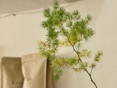 -Radar Coffee(思南路店)