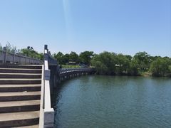 -金银湖国家城市湿地公园