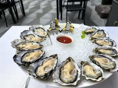 -Oyster Talks 四度蚝法餐厅