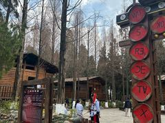 -云南民族村