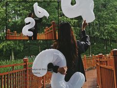 -重庆彩云湖湿地公园
