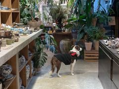 -自由生长植物工作室(深港花卉中心店)