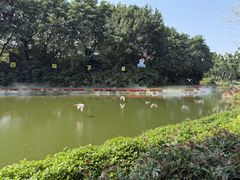 -广州长隆飞鸟乐园