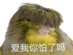 -杨记隆府(汉街店)