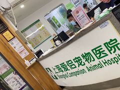 -爱侣宠医·鹦鹉专科·小型哺乳类·异宠专科(灵石路店)