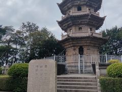 -郑和公园