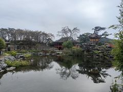 -顺峰山公园