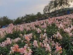 -盈香心动乐园
